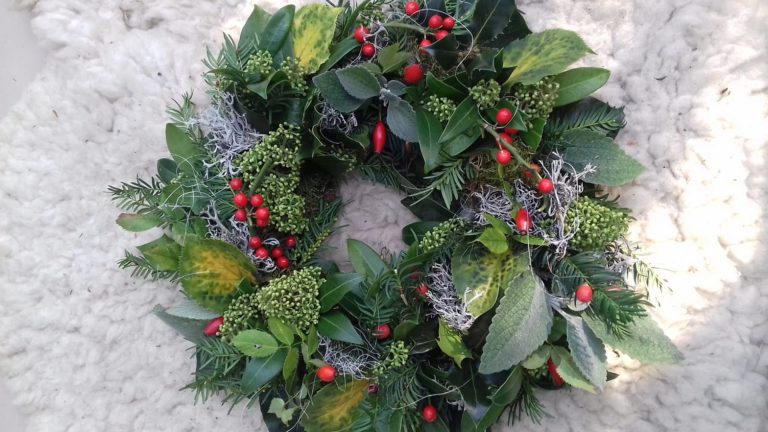 Twee keer workshop ‘bloemschikken voor Kerstmis’ bij Hortus Alkmaar ?