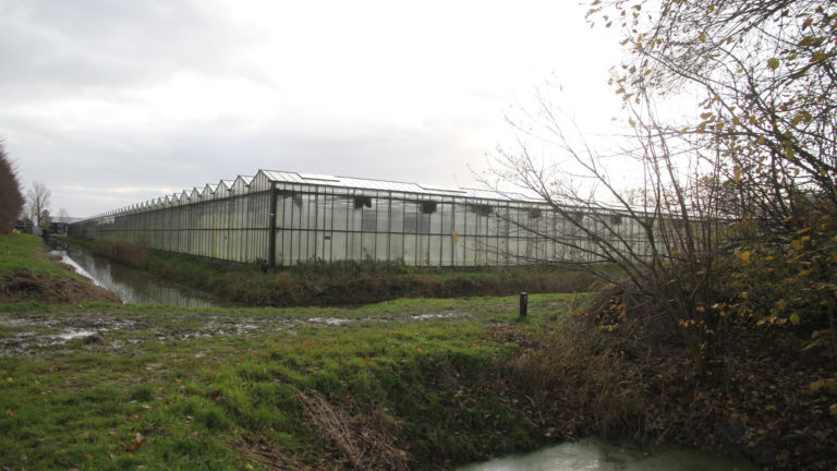 Gemeente positief over woningbouwplan van Amigo Plant in ’t Kruis