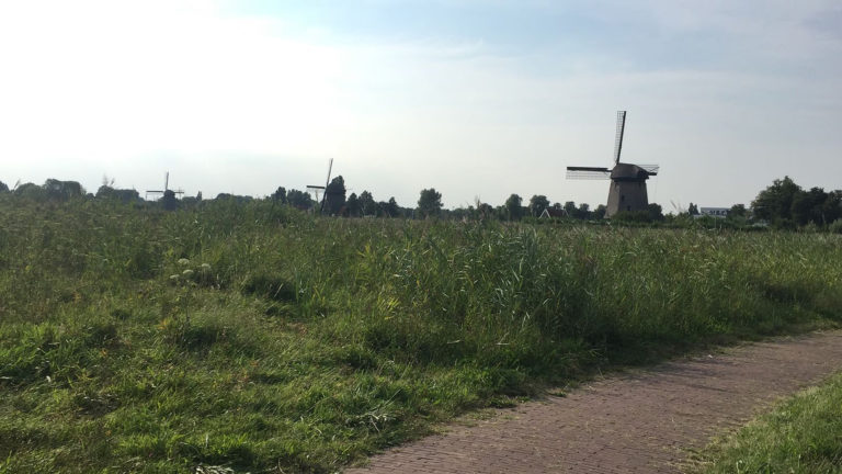 Winterwandeling en knutselochtend in de Oudorperhout ?