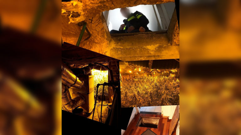 Vondst verborgen hennepkwekerij in Alkmaar Noord leidde tot groot onderzoek