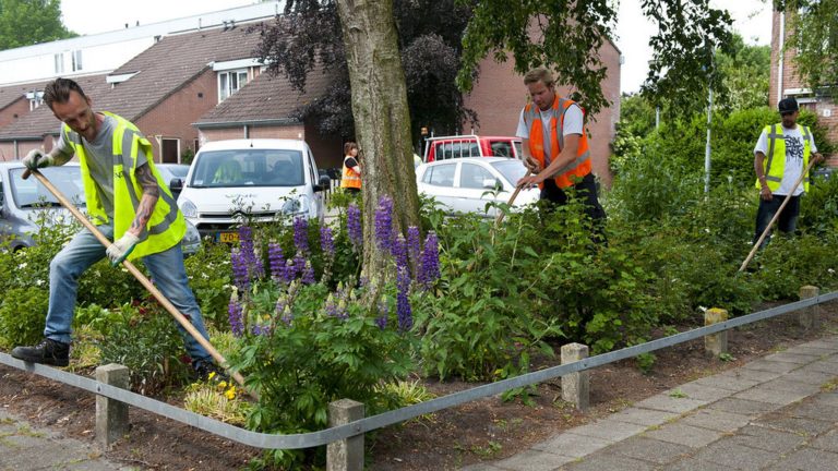 Campagne met doe-dagen vanwege personeelstekort in groensector ?