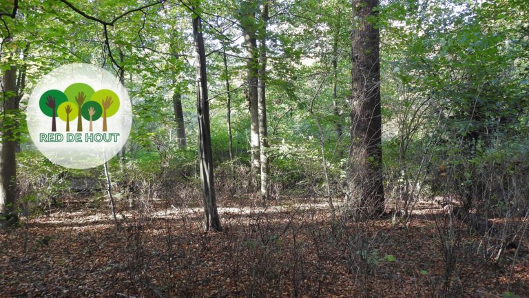 Red de Hout wil bouw rond ziekenhuis stilleggen voor onafhankelijk onderzoek