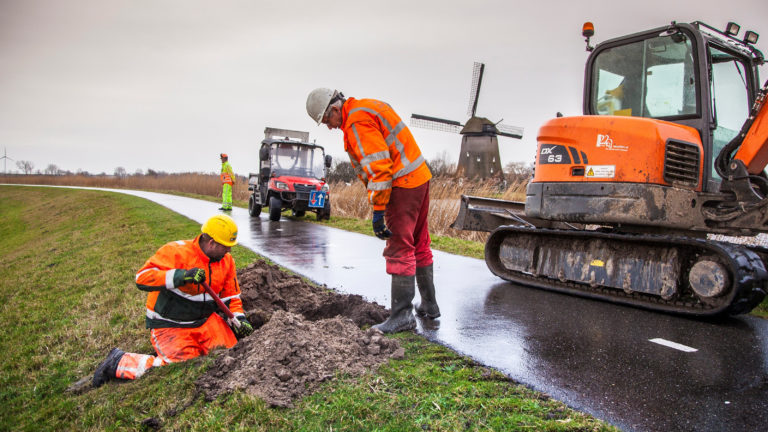 Hoogheemraadschap plant de komende weken bomen langs de Westdijk