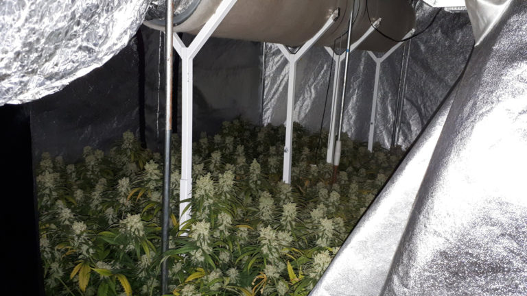 Alkmaarse politie treft twee hennepkwekerijen in Overdie