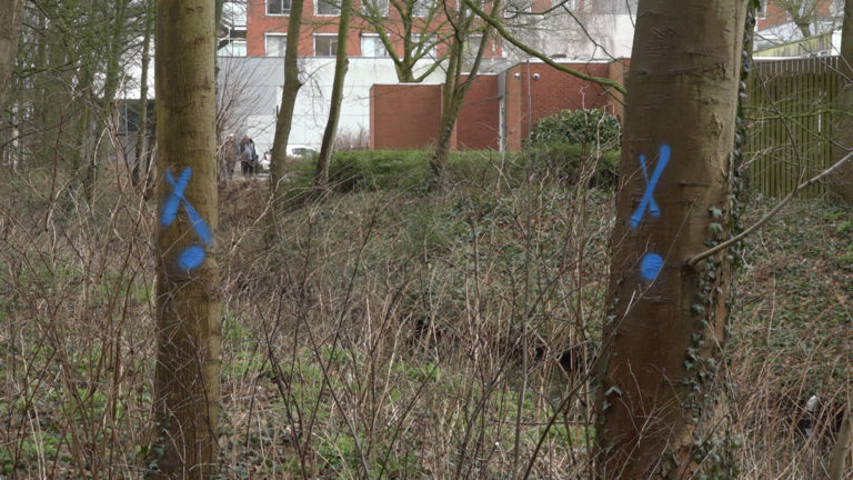 Rechter stelt gemeente in het gelijk, Noordwest ziekenhuis mag kappen; “Kennelijk is de rechtspraak een verlengstuk van dit systeem.”