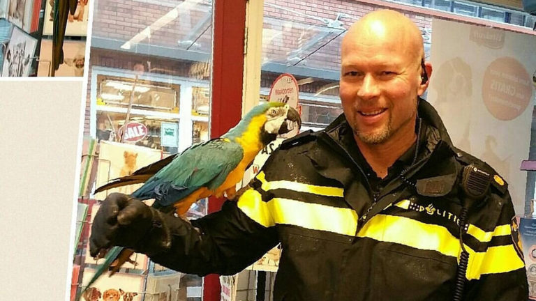 Dierenpolitie vindt verdachte die mogelijk Jojo wilde vergiftigen of drogeren