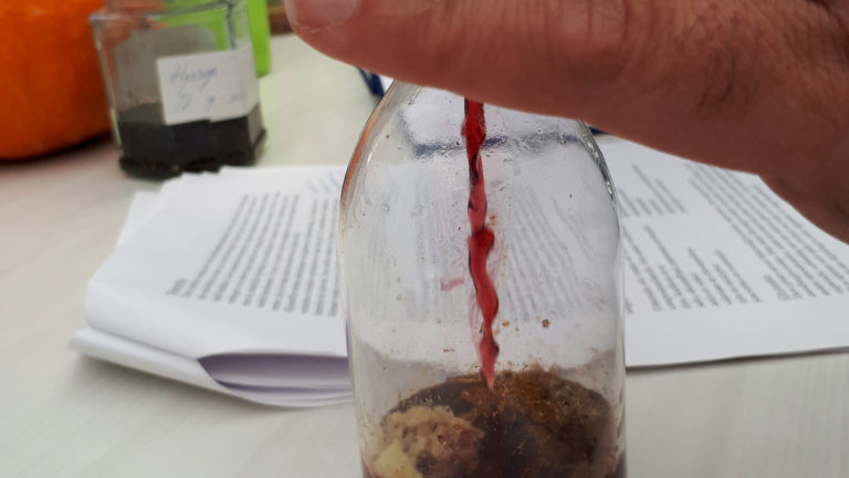 Kruidenworkshop bij Hortus Alkmaar op 15 en 29 februari ?