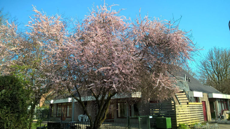 Huiswerkbegeleiding bij De Hoeksteen: ruim voldoende afstand en strikt hygiëne-regime