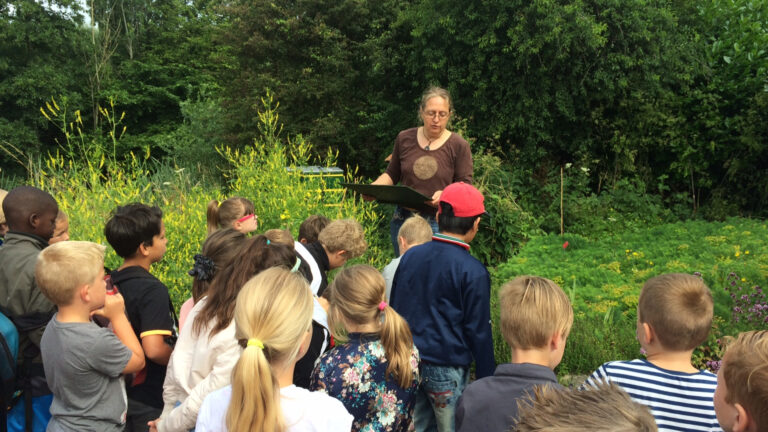 Kinderworkshops in de Hortus: alles wat ze weten willen over de bij ๐