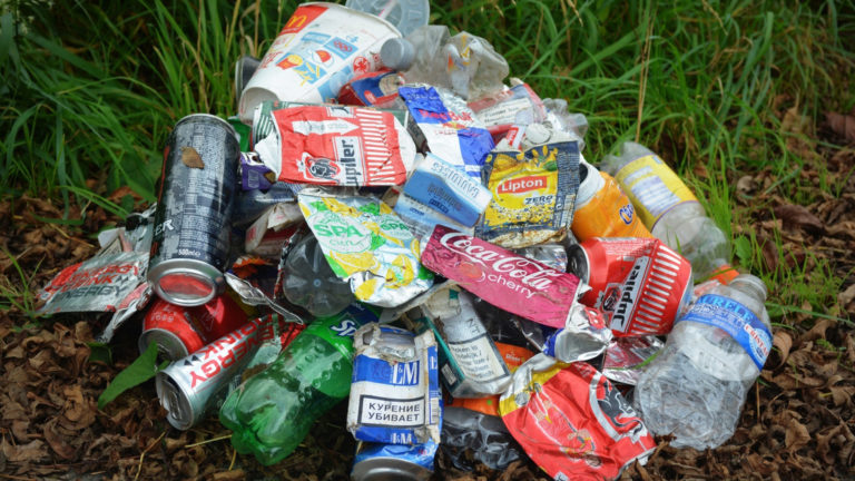 City Clean Up Alkmaar: recordpoging zwerfvuil opruimen π
