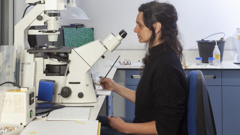 Microscopisch klein leven in zee als kunst in Museum Kranenburgh 🗓