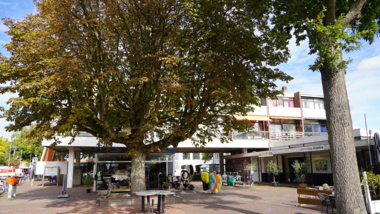 Andere aanpak ontwikkeling dorpscentrum Bergen oogst lof: “Eindelijk wordt dialoog gezocht”