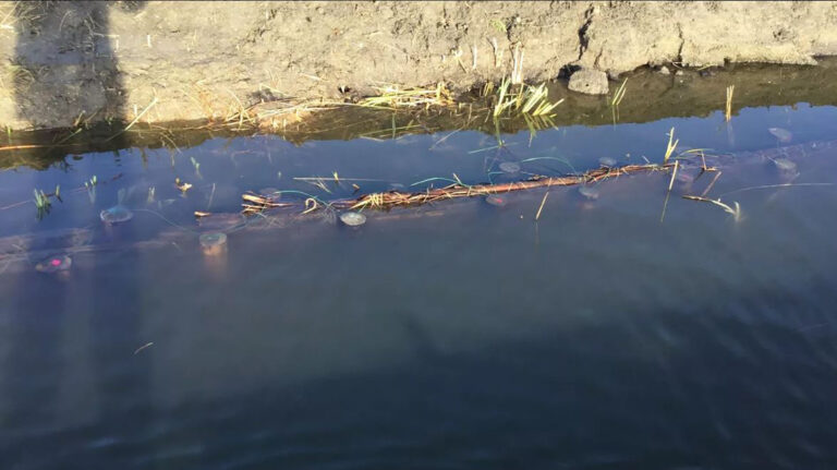 Stichting Veldzorg krijgt volop steun en start met proef voor bescherming Oosterdel