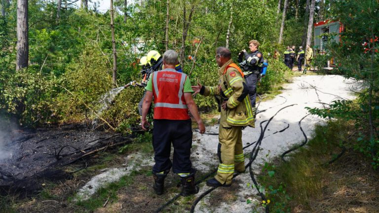 Brandweer weet vuur snel te doven bij duinbrand in Schoorlse Duinen