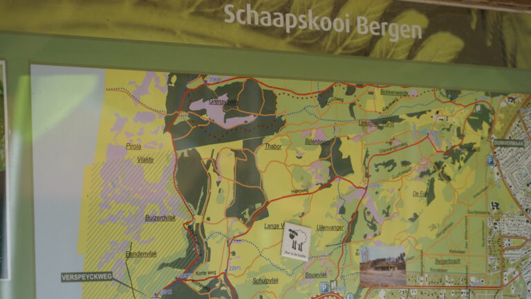 Zintuigen-wandeling van IVN door Bergens duingebied π