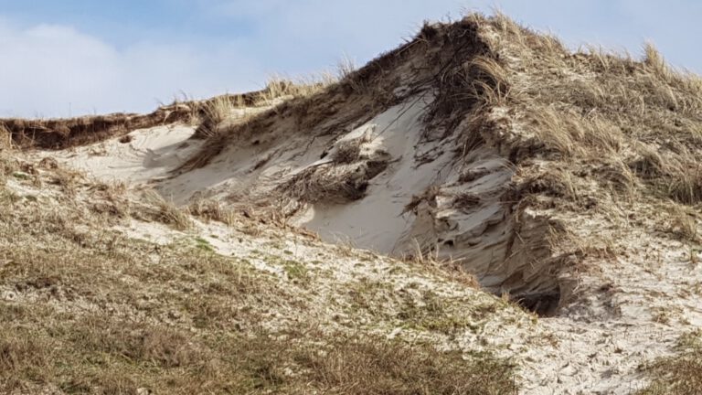 Mee met gids Hans Stapel voor een duinwandeling vanaf Heemtuin Parnassia π