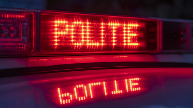 Pony al twee nachten op avontuur tussen volkstuinen en boulevard Egmond aan Zee