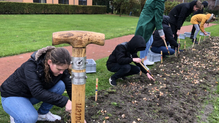 Tweede GroenSpoor plantestafette op 26 oktober in Heerhugowaard ๐