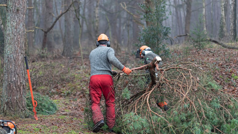 Schoorlse Duinen niet onveilig, bezoekers blijven welkom na storm Eunice