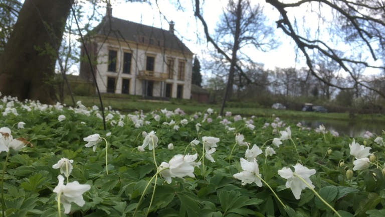 IVN organiseert wandeling op Landgoed Nijenburg: “Je gaat het landgoed echt anders zien” 🗓