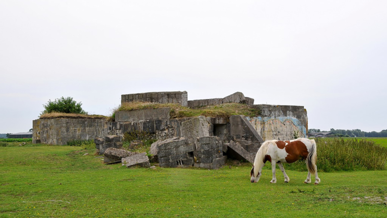 Op Bunkerdag zoeken naar restanten Atlantikwall in Bergen, Egmond en Alkmaar 🗓