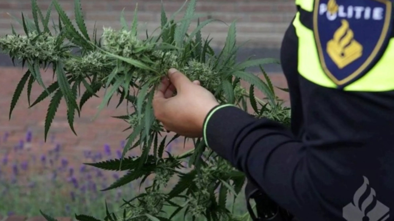 Campagne in Alkmaar, Heiloo en Bergen om criminaliteit in vastgoedwereld te melden