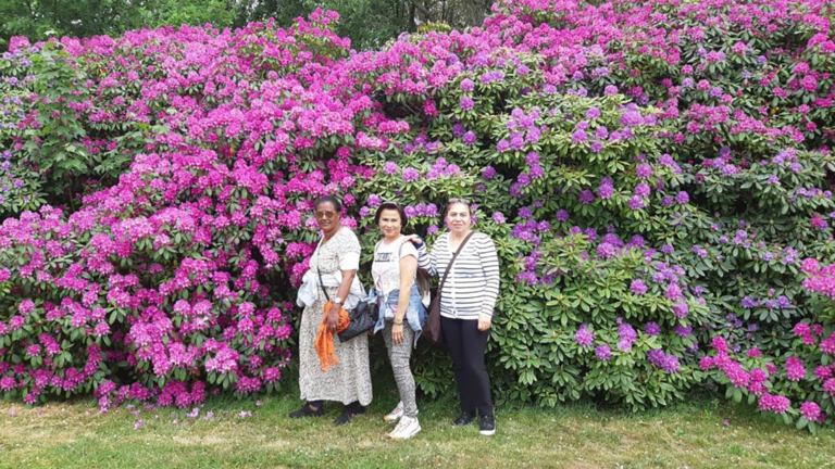 Wandelgroep Heiloo loopt goed: “Sluit je eenmaal aan, dan ga je eigenlijk niet meer weg” 🗓