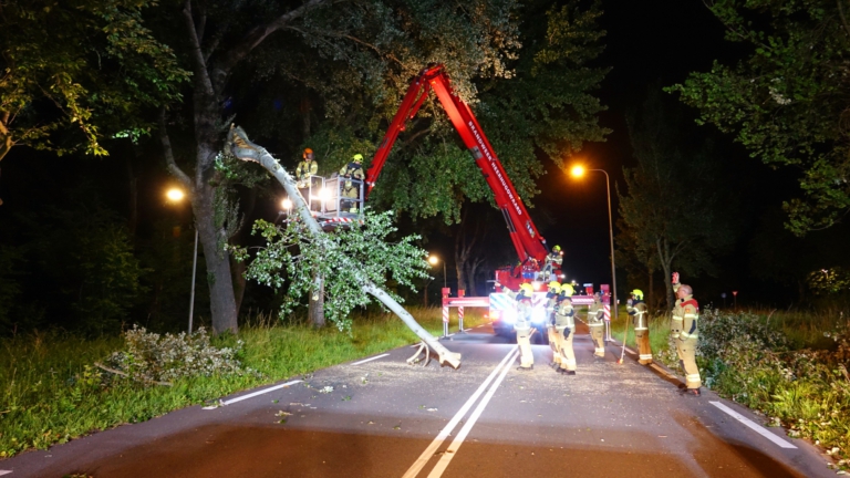 Afgebroken boomtak zorgt voor gevaar op Krusemanlaan Heerhugowaard