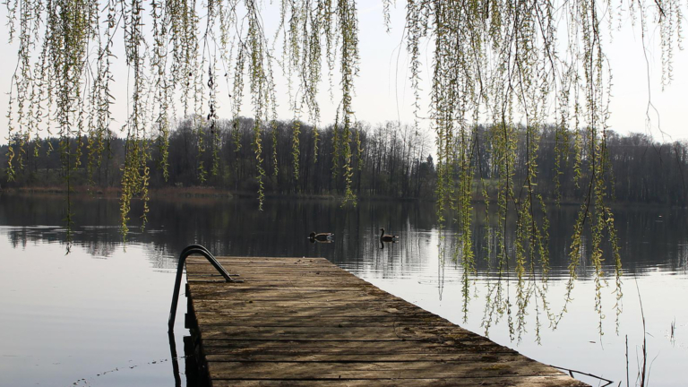 Nieuwe zwemsteiger in Graft komt toch niet bij de Kromme Horn