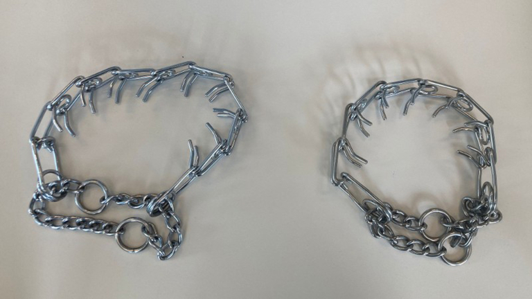 Dierenpolitie neemt prikhalsbanden in beslag en bekeurt hondenbazen