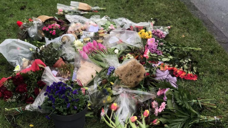 Doodrijder oma Lies zit huilend in de rechtbank: nabestaanden vinden het krokodillentranen