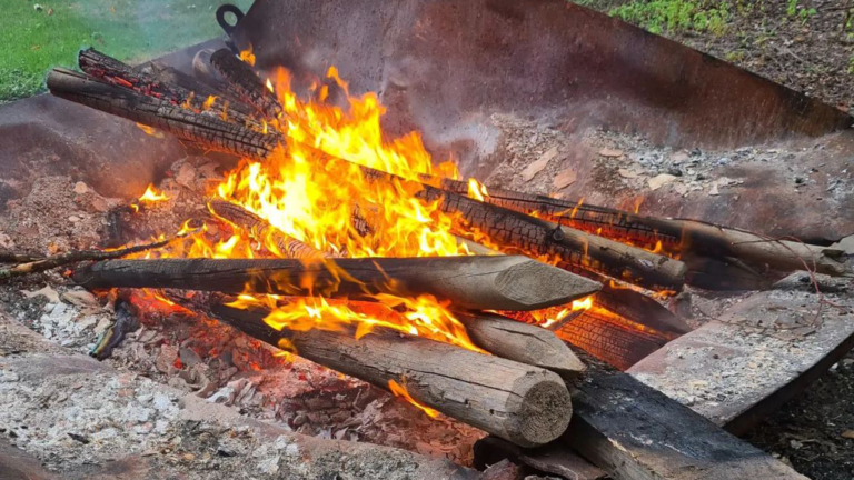 Fikkie levert inwoner van Heiloo boete van 410 euro op