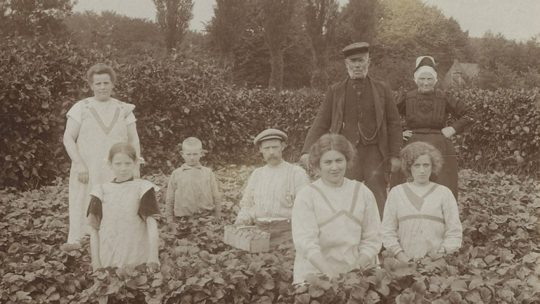 Nieuwe cursussen van Regionaal Archief Alkmaar gaan van start 🗓