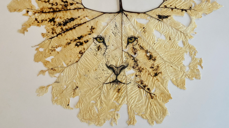 Kunstweek bij Hortus Alkmaar legt relatie tussen kunst en natuur 🗓