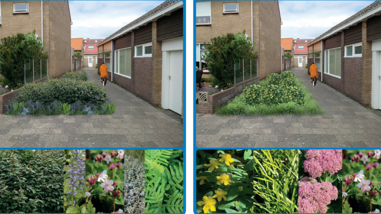 De Zuid als eerste aan de beurt in vergroeningsplan Egmond aan Zee