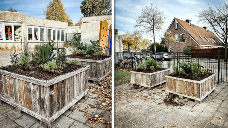 Zestien Alkmaarse scholen een beetje groener met plantenbakken van gemeente