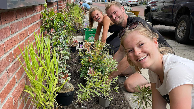 Heilooërs wippen ruim 2.000 tegels uit tuin tijdens NK Tegelwippen