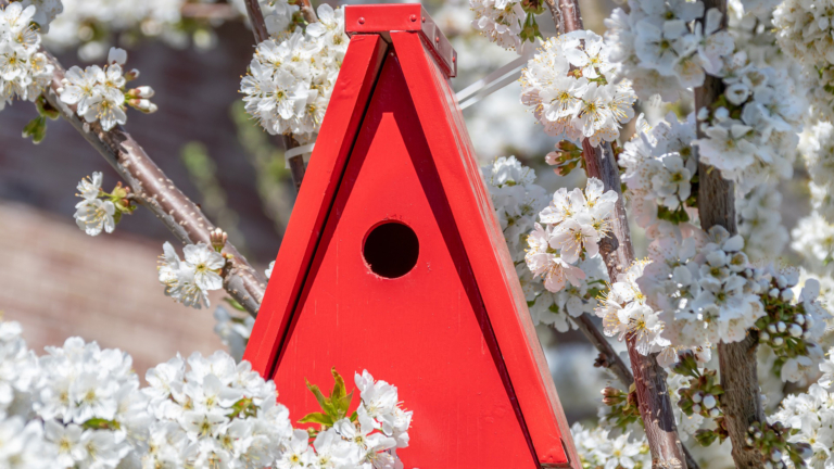Vogelhuisje bouwen op 2 en 3 januari in Buitencentrum Schoorlse Duinen π