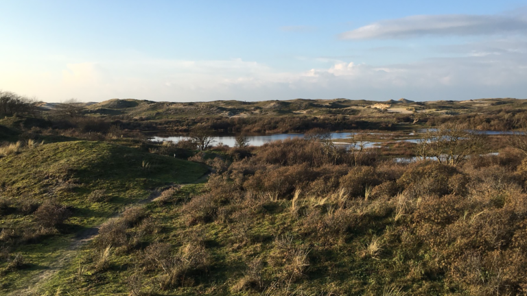 IVN Organiseert nieuwjaarsnatuurwandeling in de Wimmenummerduinen π