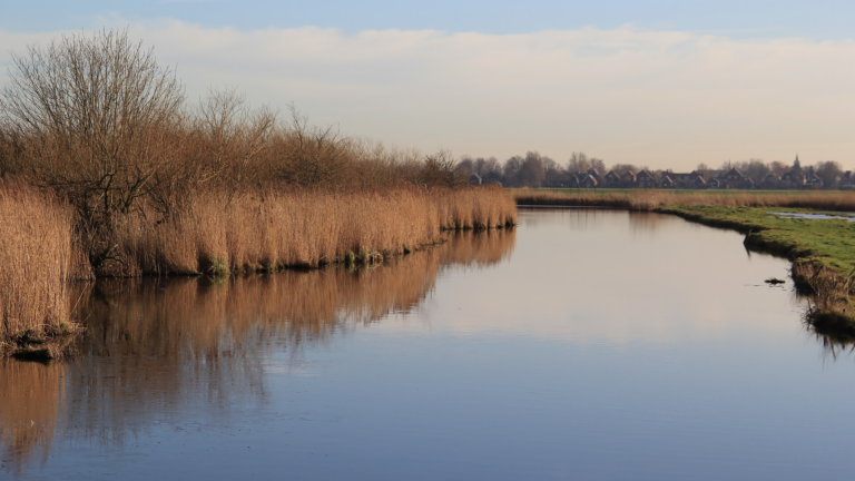 Beleef de Eilandpolder vanuit een fluisterboot op zondag 8 januari π