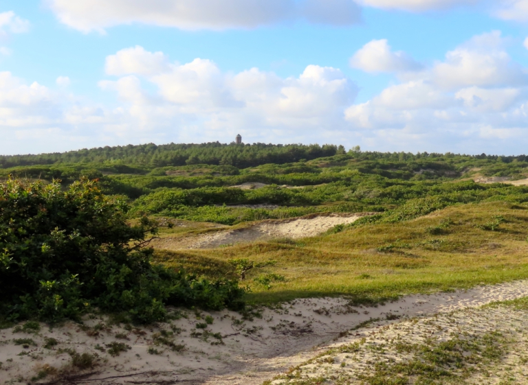 IVN organiseert 5 februari duinwandeling rond Bergen aan Zee π