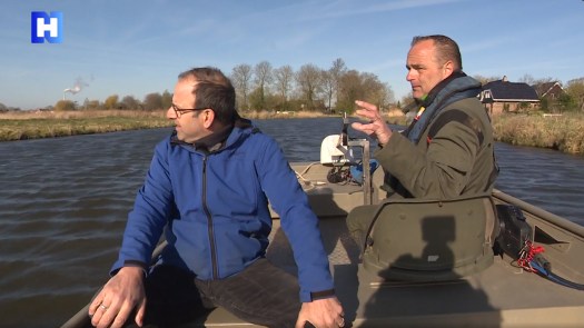 Steeds meer ‘niet-zuivere’ ganzenrassen in het Oosterdel: “Soepganzen maken het helemaal bont”