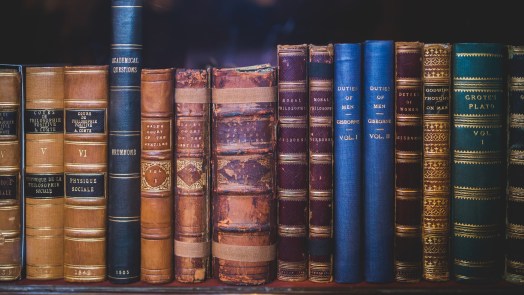 Traditionele Moederdag boekenmarkt op het Plein in Bergen π
