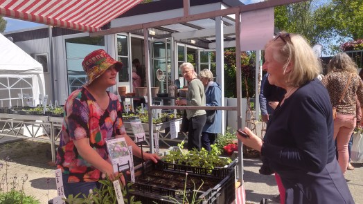 Plantenmarkt op Moederdag bij Hortus Alkmaar ๐