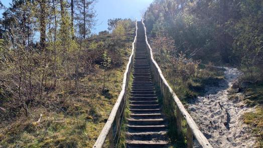 Wandelroute door duinen bij Groet verkozen tot ‘Wandelroute van 2023’