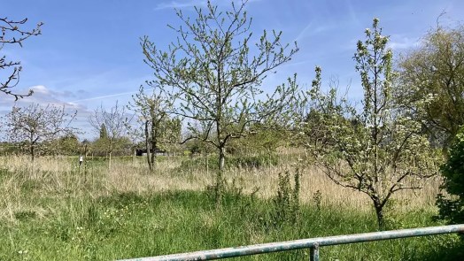 Door Schiphol mag Josca geen huis bouwen, maar nieuwe woonwijk om de hoek mag wel