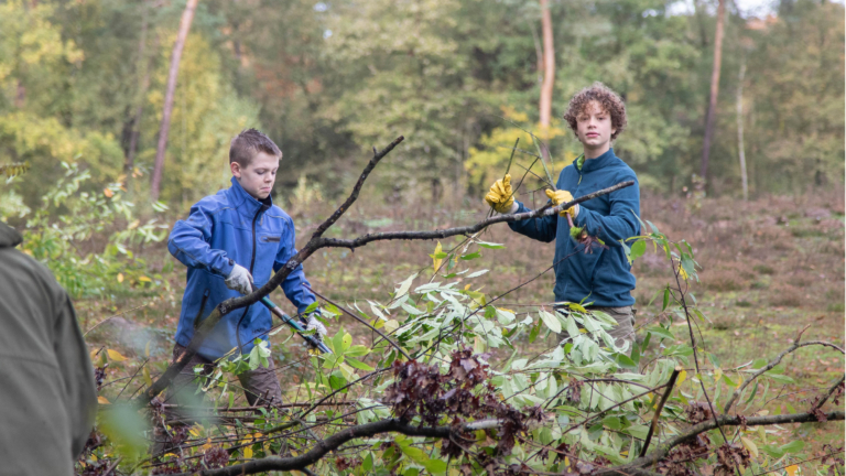 Natuurwerkdag in de Schoorlse Duinen om de heide open te houden π