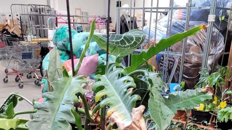 “Planten til je niet even”, maar Alkmaars Plantenasiel moet toch verhuizen