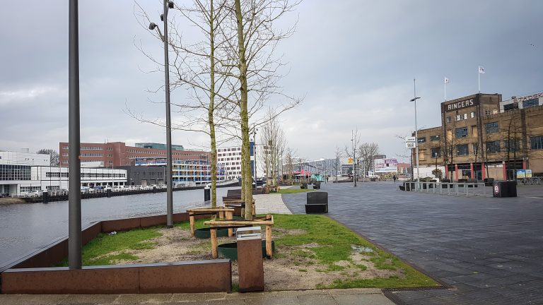 Pleidooi voor écht stadsparkje op Alkmaarse Overstad: “Niet alleen wat snippers groen”