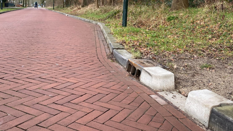 Alle beetjes helpen aan de Belieslaan: sparingen in straatband en paddentrapjes